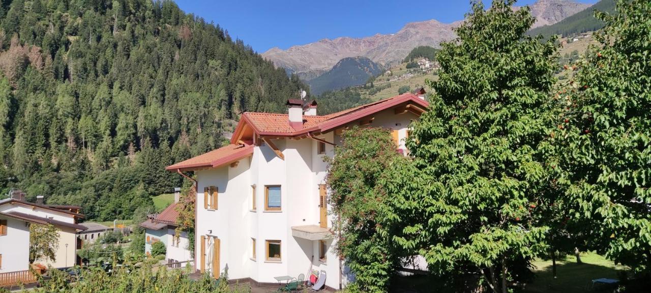 Appartamento Mary - Casa Green - Dog Friendly, Box Auto Cogolo Εξωτερικό φωτογραφία