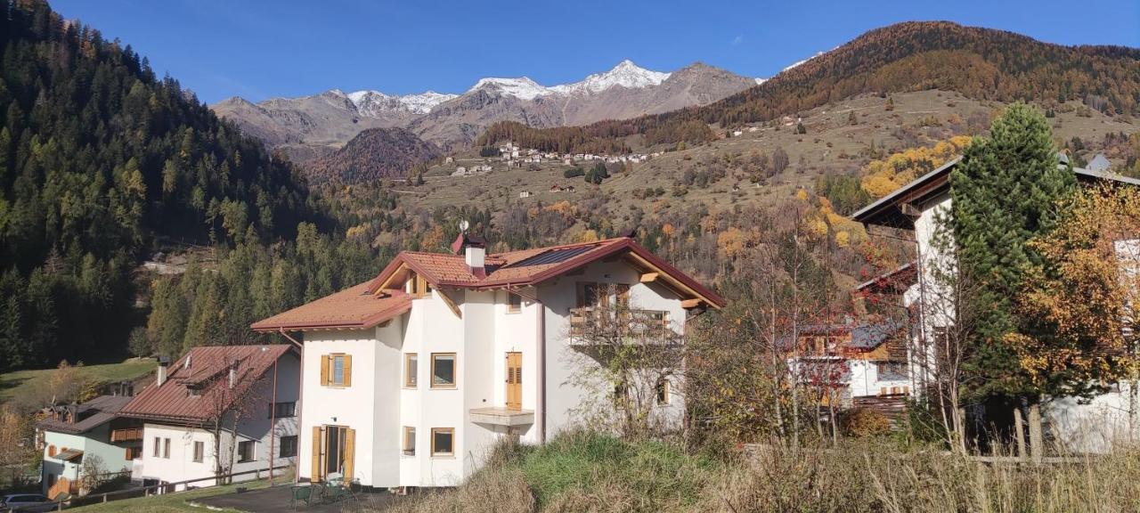 Appartamento Mary - Casa Green - Dog Friendly, Box Auto Cogolo Εξωτερικό φωτογραφία